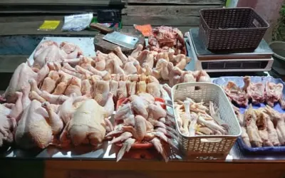 Harga Ayam Merangkak Naik di Mukomuko, Konsumen Harap Kembali Stabil