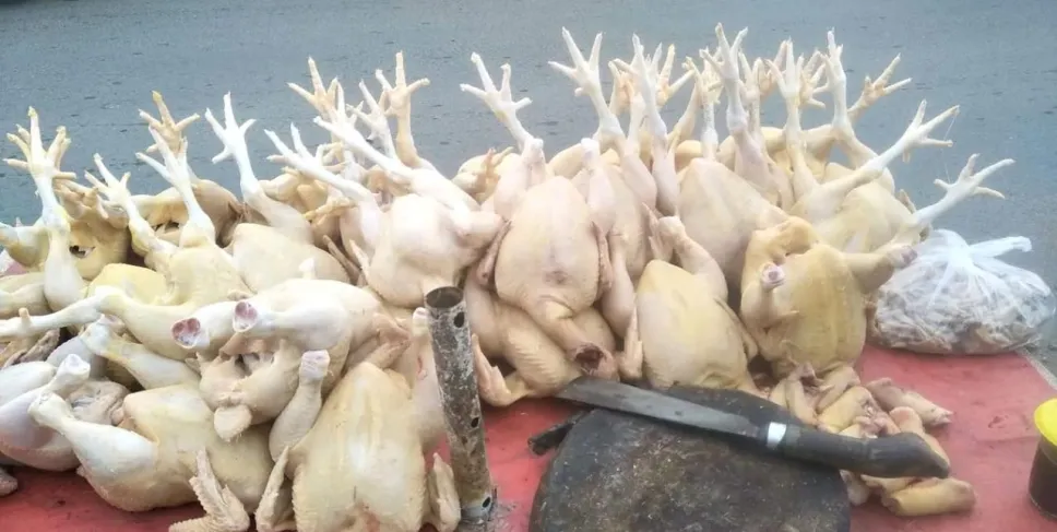 Harga daging ayam ras. Foto: Mirwan/Siberbengkulu.co