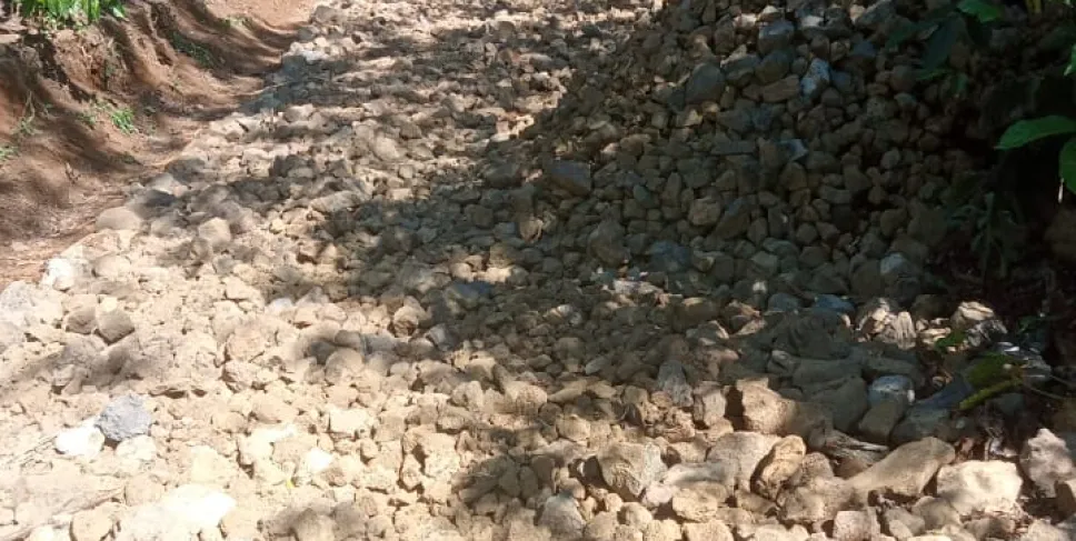 Pembangunan Jalan Usaha Tani di Desa Dataran Tapus Permudah Akses Petani. Foto: Ibnu/Siberbengkulu.co