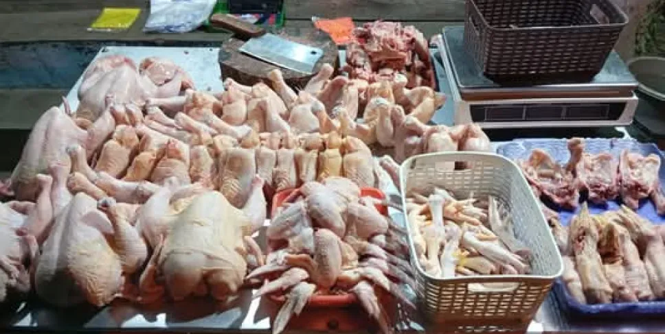 Harga Ayam Merangkak Naik di Mukomuko, Konsumen Harap Kembali Stabil